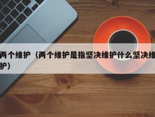 两个维护（两个维护是指坚决维护什么坚决维护）