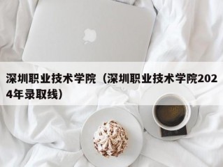 深圳职业技术学院（深圳职业技术学院2024年录取线）