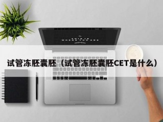 试管冻胚囊胚（试管冻胚囊胚CET是什么）