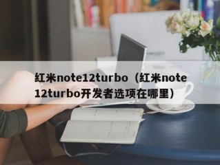 红米note12turbo（红米note12turbo开发者选项在哪里）