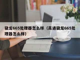 骁龙665处理器怎么样（高通骁龙665处理器怎么样）