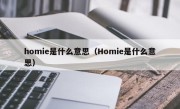 homie是什么意思（Homie是什么意思）