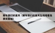 那年我们的夏天（那年我们的夏天在线观看免费完整版）