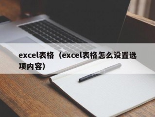 excel表格（excel表格怎么设置选项内容）