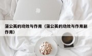 蒲公英的功效与作用（蒲公英的功效与作用副作用）