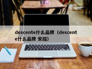 descente什么品牌（descente什么品牌 安踏）