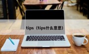 tips（tips什么意恩）