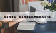 附子理中丸（附子理中丸能去除体内湿气吗）