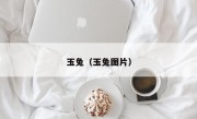 玉兔（玉兔图片）