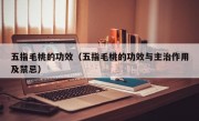 五指毛桃的功效（五指毛桃的功效与主治作用及禁忌）