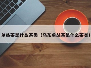 单丛茶是什么茶类（乌东单丛茶是什么茶类）