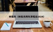 林俊杰（林俊杰跨年演唱会2024）