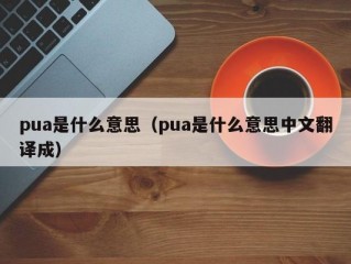 pua是什么意思（pua是什么意思中文翻译成）