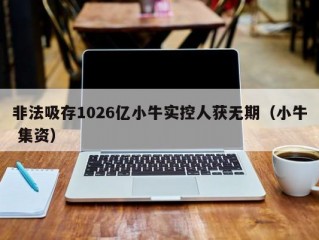 非法吸存1026亿小牛实控人获无期（小牛 集资）