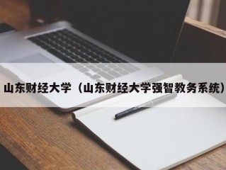 山东财经大学（山东财经大学强智教务系统）