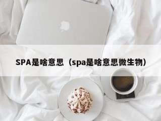 SPA是啥意思（spa是啥意思微生物）