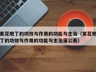 紫花地丁的功效与作用的功能与主治（紫花地丁的功效与作用的功能与主治蒲公英）