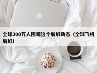 全球300万人围观这个航班动态（全球飞机航班）