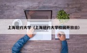 上海纽约大学（上海纽约大学校园开放日）