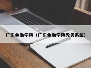 广东金融学院（广东金融学院教务系统）