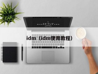 idm（idm使用教程）