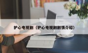 护心电视剧（护心电视剧剧情介绍）