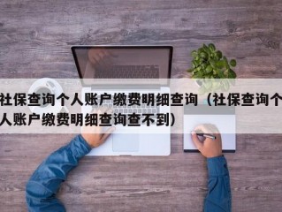 社保查询个人账户缴费明细查询（社保查询个人账户缴费明细查询查不到）