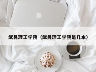 武昌理工学院（武昌理工学院是几本）