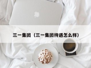 三一集团（三一集团待遇怎么样）