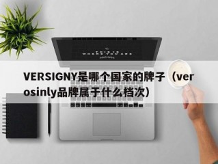 VERSIGNY是哪个国家的牌子（verosinly品牌属于什么档次）