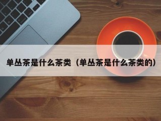 单丛茶是什么茶类（单丛茶是什么茶类的）