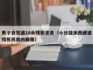 男子自驾遇18头棕熊觅食（小伙徒步西藏遇棕熊民房内躲雨）