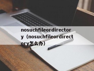 nosuchfileordirectory（nosuchfileordirectory怎么办）