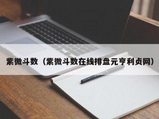 紫微斗数（紫微斗数在线排盘元亨利贞网）