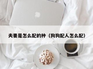 夫妻是怎么配的种（狗狗配人怎么配）