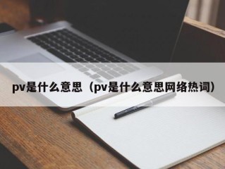 pv是什么意思（pv是什么意思网络热词）