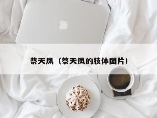 蔡天凤（蔡天凤的肢体图片）