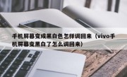 手机屏幕变成黑白色怎样调回来（vivo手机屏幕变黑白了怎么调回来）