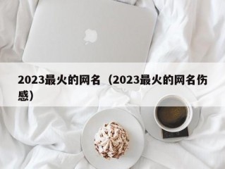 2023最火的网名（2023最火的网名伤感）