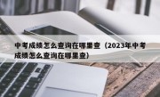 中考成绩怎么查询在哪里查（2023年中考成绩怎么查询在哪里查）