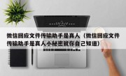 微信回应文件传输助手是真人（微信回应文件传输助手是真人小秘密就你自己知道）