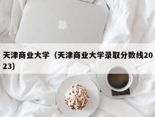 天津商业大学（天津商业大学录取分数线2023）