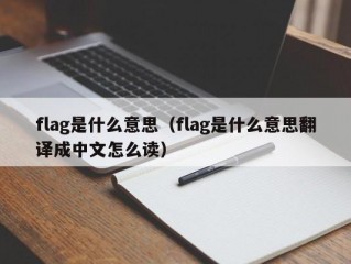 flag是什么意思（flag是什么意思翻译成中文怎么读）