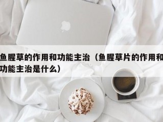 鱼腥草的作用和功能主治（鱼腥草片的作用和功能主治是什么）