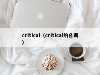 critical（critical的名词）