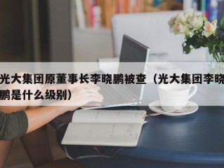 光大集团原董事长李晓鹏被查（光大集团李晓鹏是什么级别）