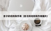 杏子的功效和作用（杏子的功效和作用图片）