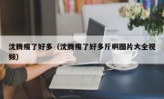 沈腾瘦了好多（沈腾瘦了好多斤啊图片大全视频）