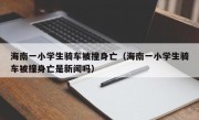 海南一小学生骑车被撞身亡（海南一小学生骑车被撞身亡是新闻吗）