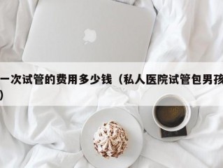 一次试管的费用多少钱（私人医院试管包男孩）